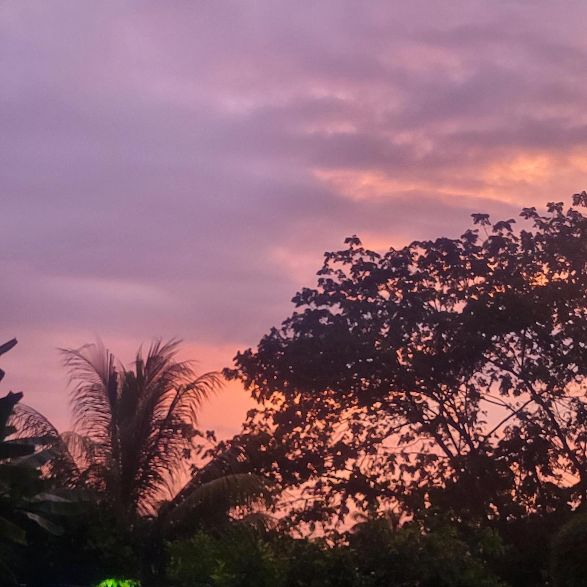 Madre Terra Bed and Breakfast Uvita Buitenkant foto