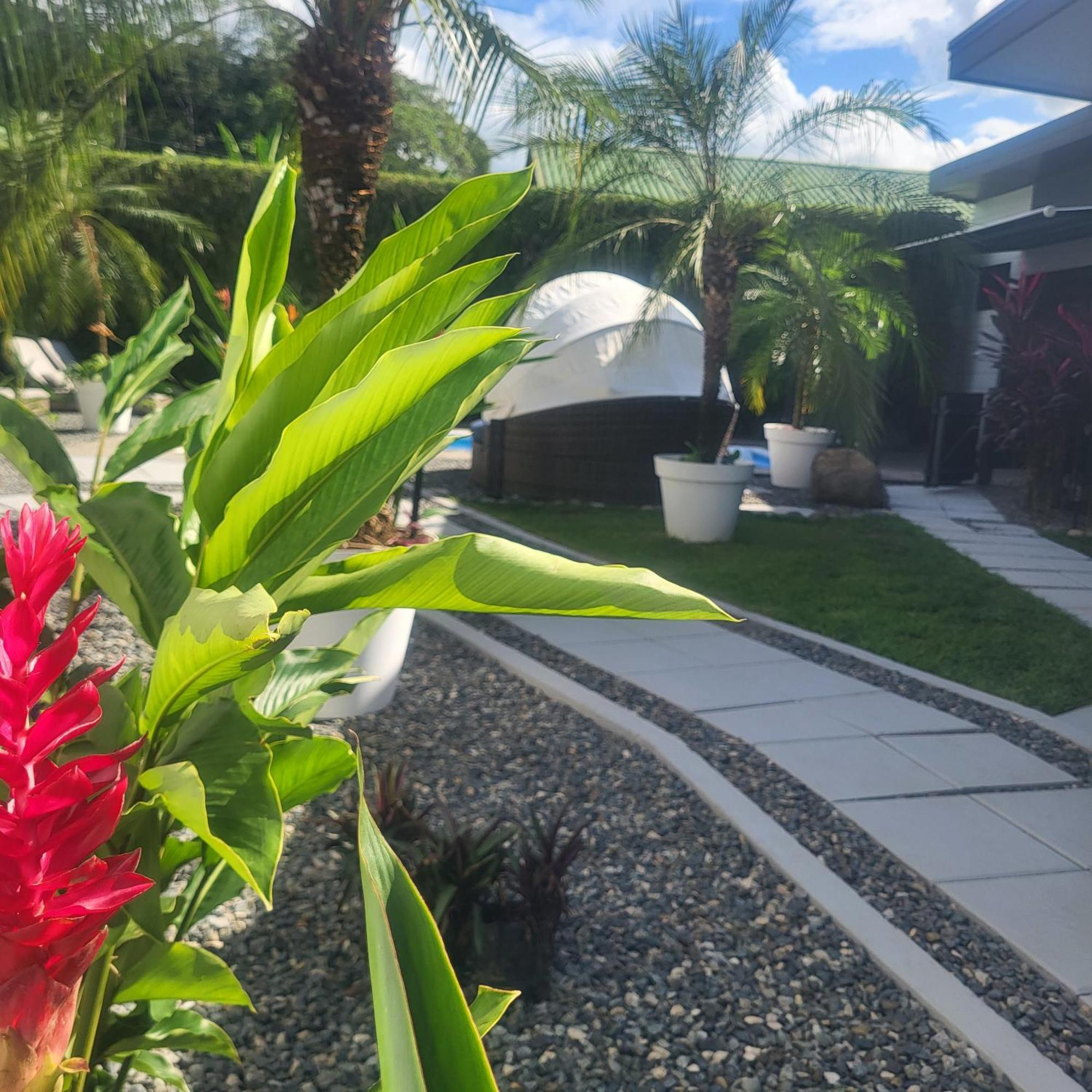 Madre Terra Bed and Breakfast Uvita Buitenkant foto