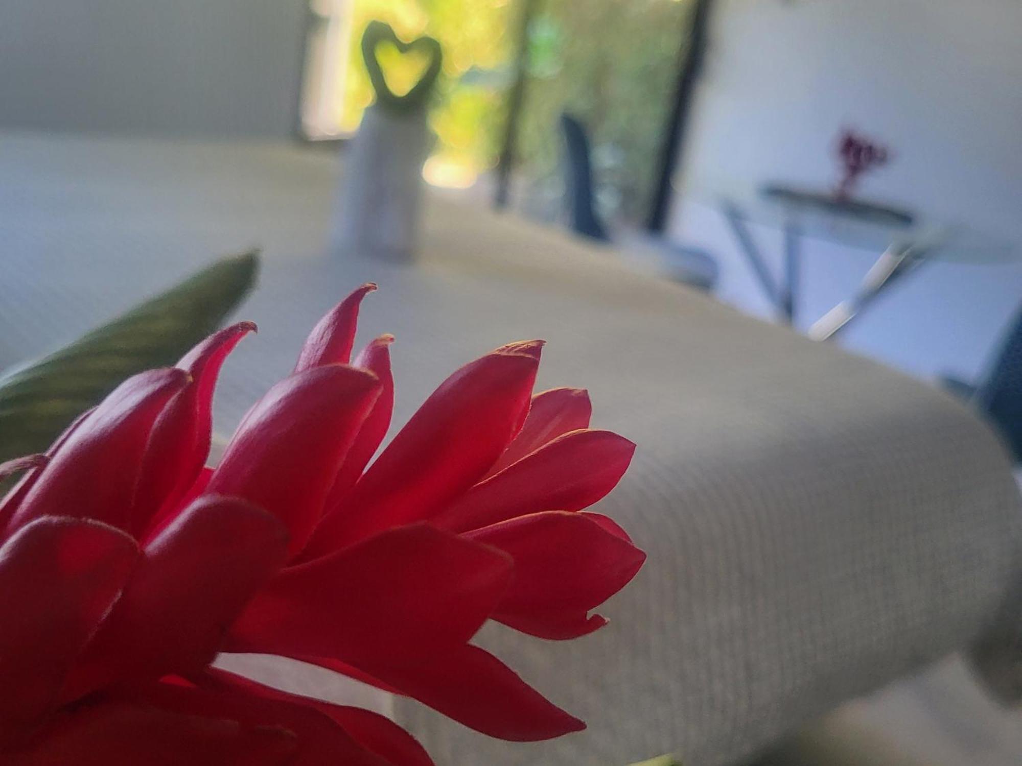 Madre Terra Bed and Breakfast Uvita Buitenkant foto