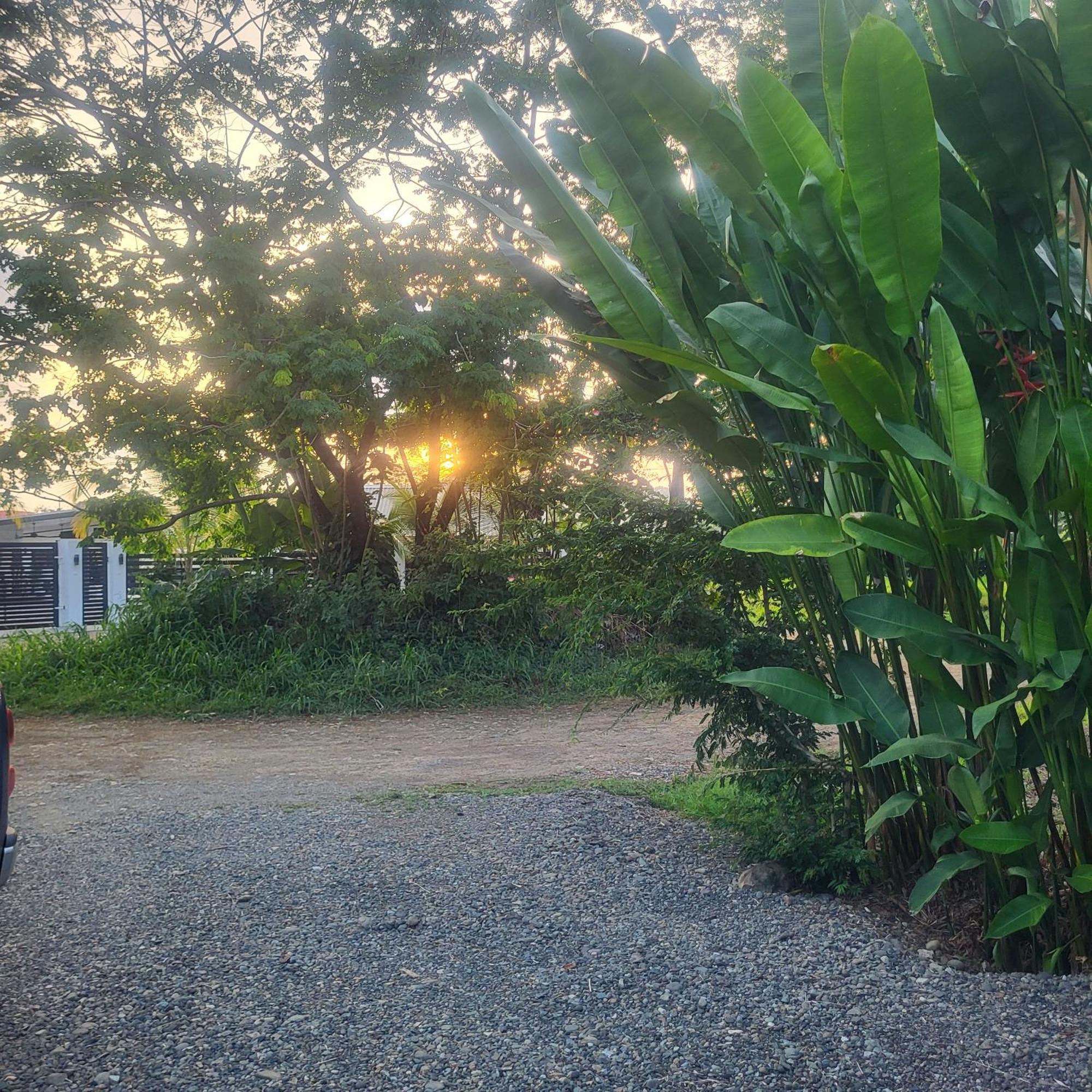 Madre Terra Bed and Breakfast Uvita Buitenkant foto
